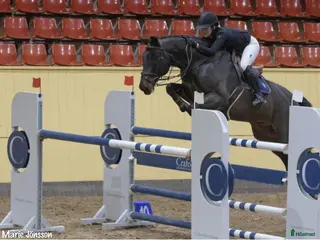 hästjobb Plats i stallet för häst i träning! i Allerum - Annons 18