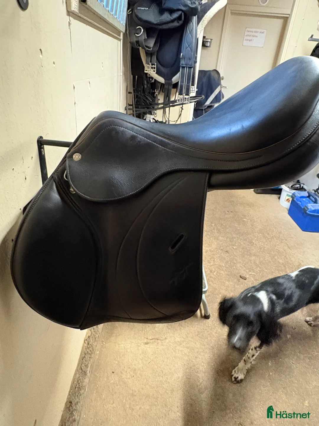 Sadlar hästutrustning till salu: Equipe Linnea sadel 17”  Svart  - Annons 1