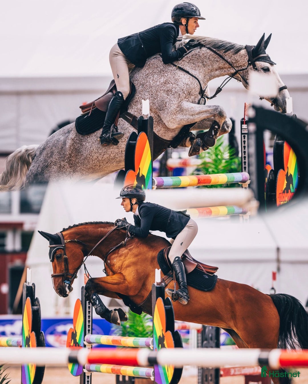  stallplats finnes: Inridning , utbildning, försäljning och tävling - Annons 1