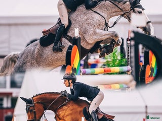 stallplats finnes: Inridning , utbildning, försäljning och tävling - Annons 1