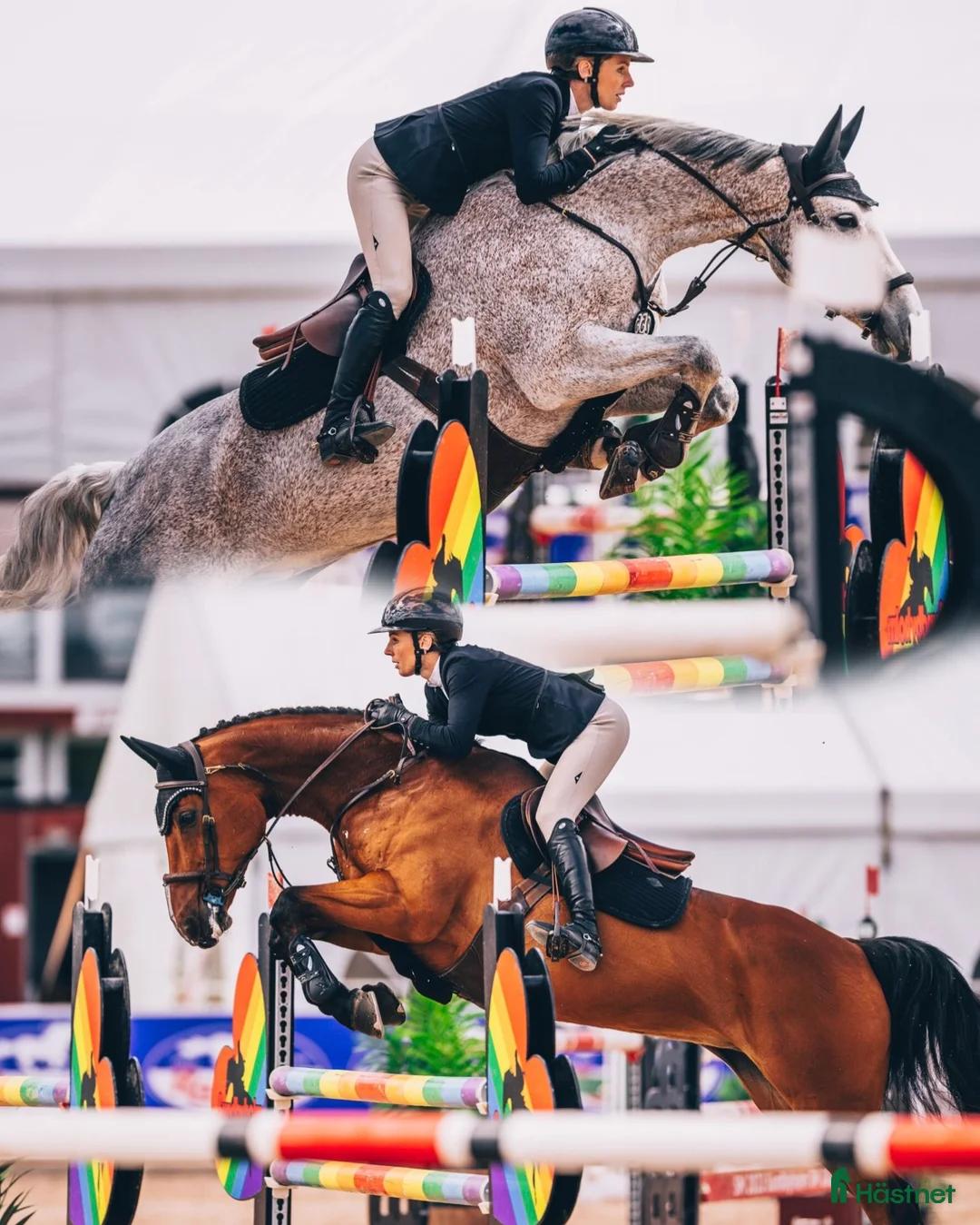  stallplats finnes: Inridning , utbildning, försäljning och tävling - Annons 1