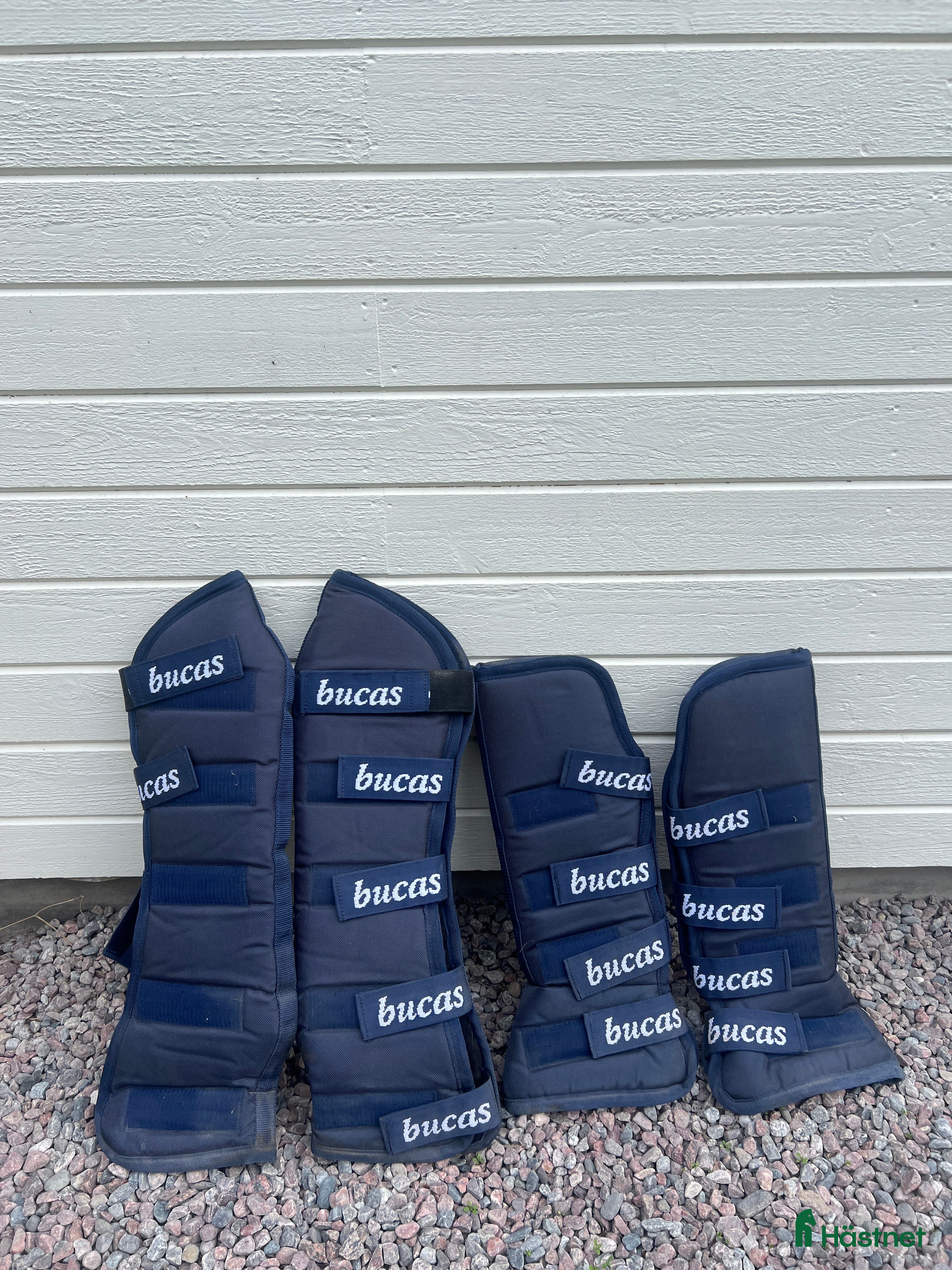 Benskydd hästutrustning till salu: Bucas transportskydd - Annons 2