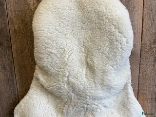 Sadeltillbehör hästutrustning Sadelvärmare i Ekerö - Annons 3