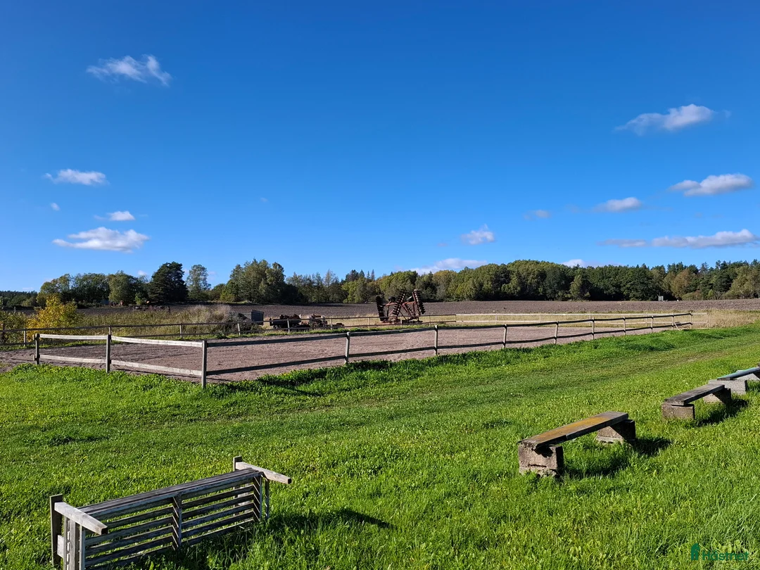  stallplats finnes: Lediga boxar nära Arlanda i Arlandastad - Annons 3