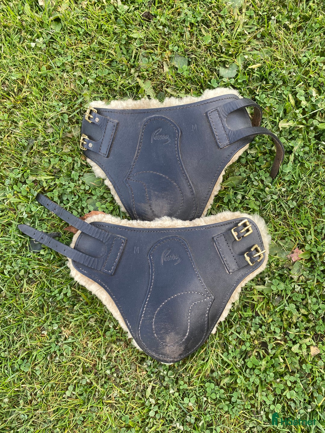 Övrig Hästutrustning hästutrustning till salu: Bakbensskydd Pessoa  i Tenhult - Annons 1