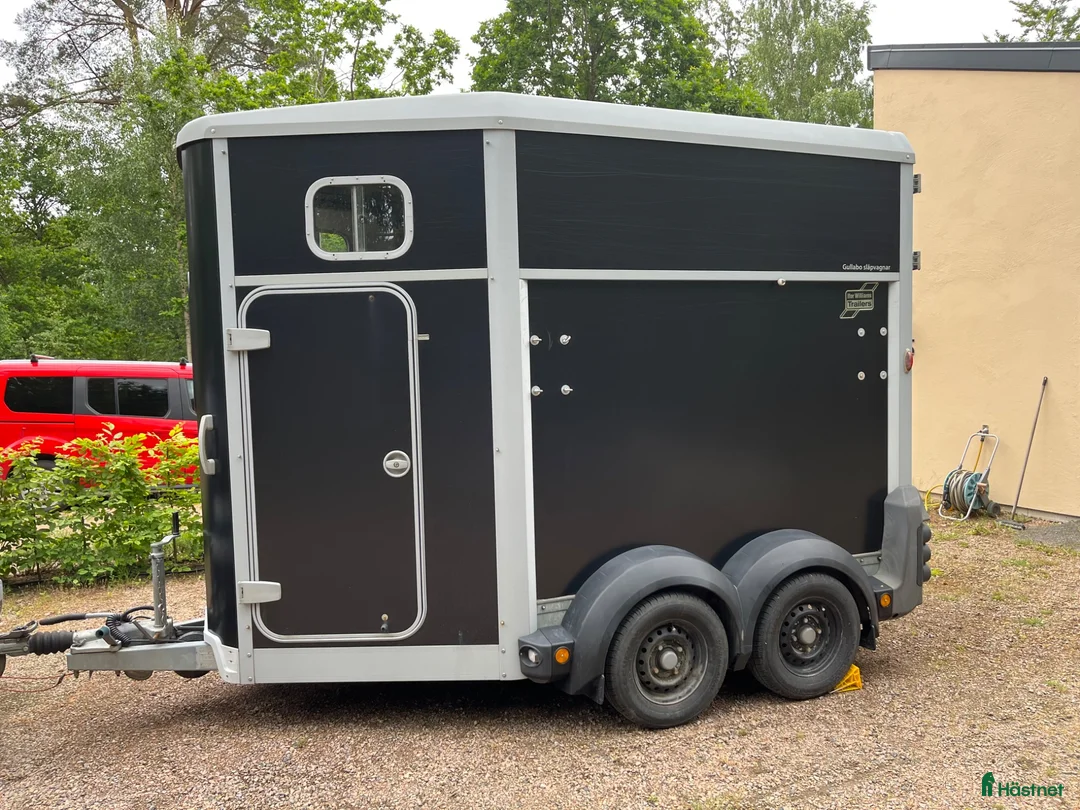 Hästtransporter  fordon & transport till salu: Ifor Williams släp i mycket gott skick (2016) - Annons 1