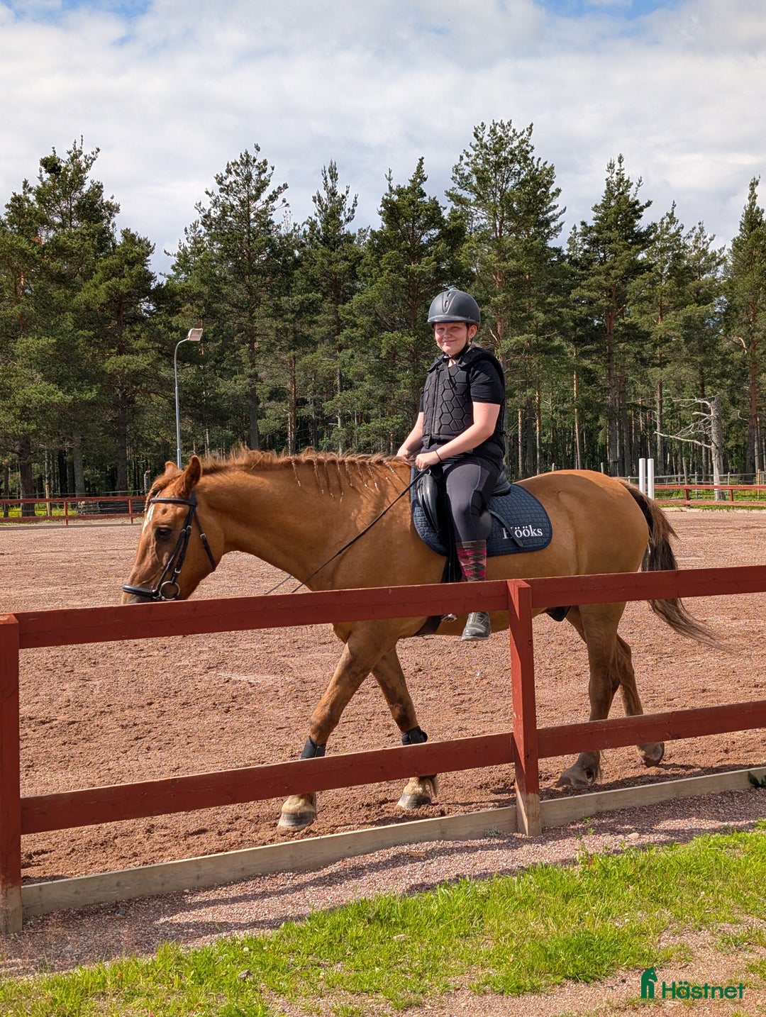  medryttarhäst sökes: Söker medryttar häst!!!! - Annons 1