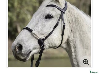 Träns hästutrustning till salu: Sidepull från Dyón i Alingsås - Annons 21