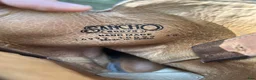 Övrig Ryttarutrustning ryttarutrustning till salu: Sancho westernboots strl 38. - Annons 5