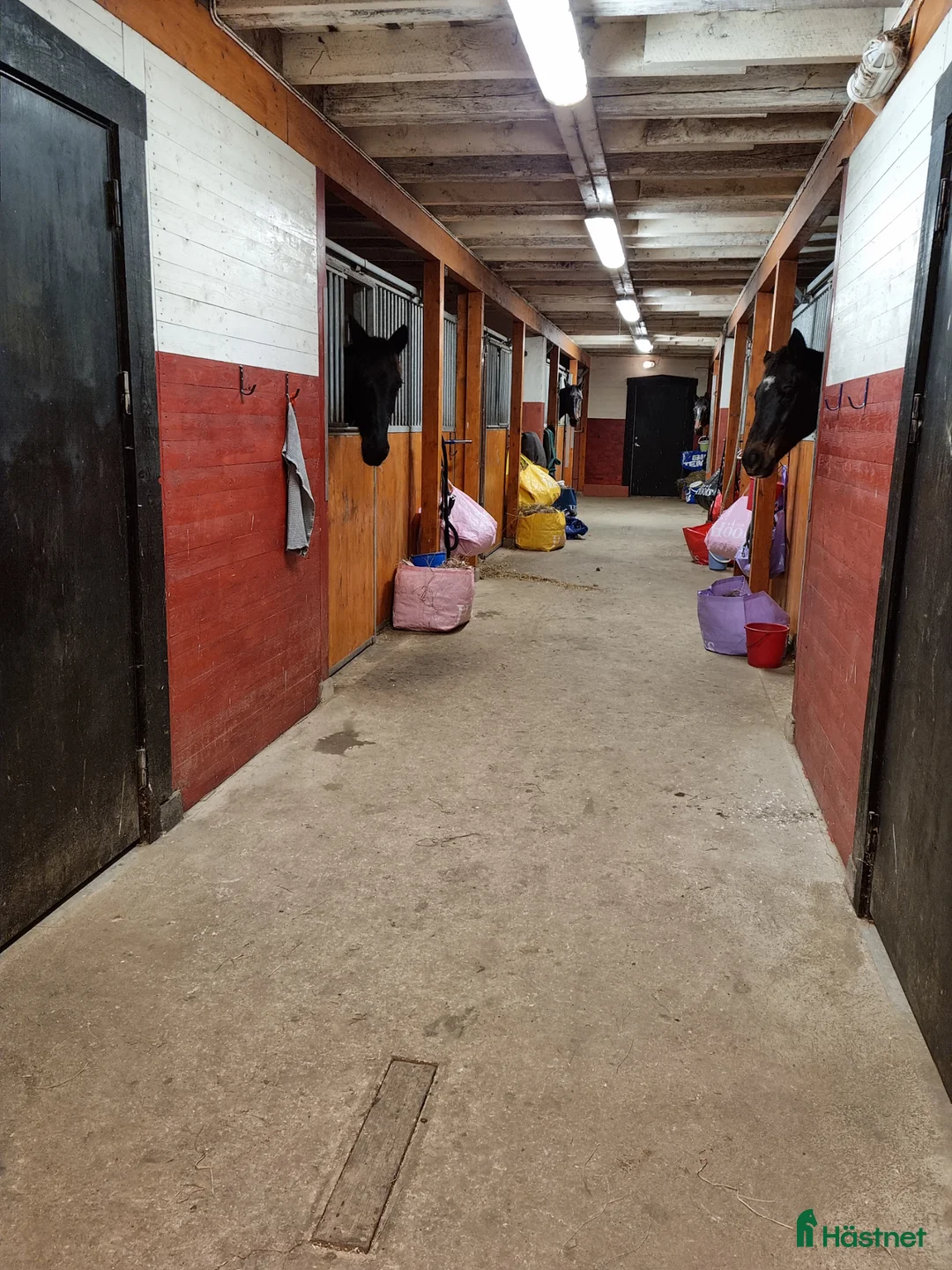  stallplats finnes: Stallplats utanför Bjärlöv, Kristianstad  - Annons 3