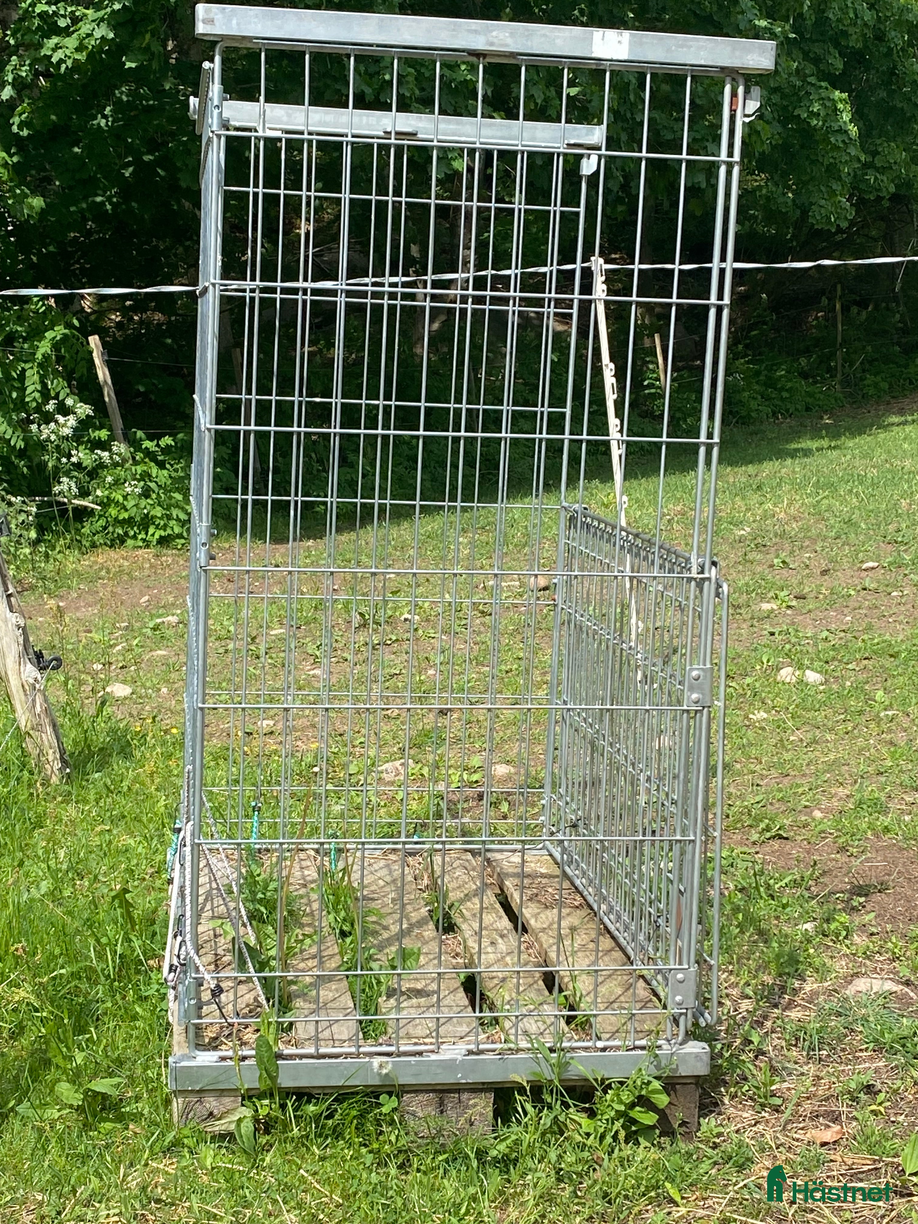 Övrig Hästutrustning hästutrustning IBC-tank och metallbur på pall - Annons 9