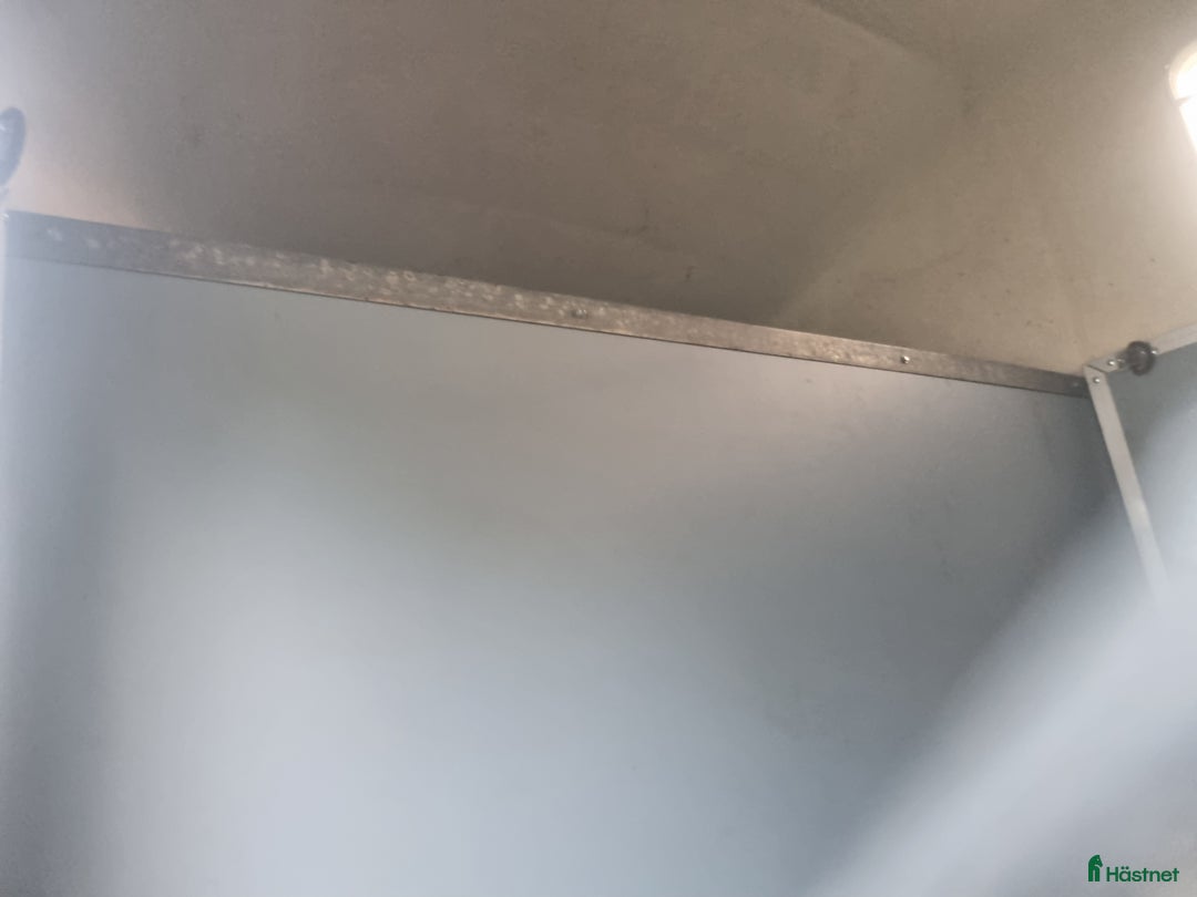 Hästtransporter  fordon & transport till salu: Ringostar nyrenoverad i Romakloster - Annons 8