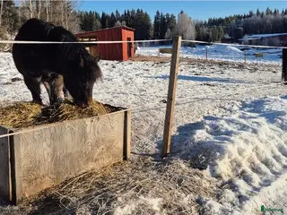 stallplats Lediga platser lösdrift/stall - Annons 2