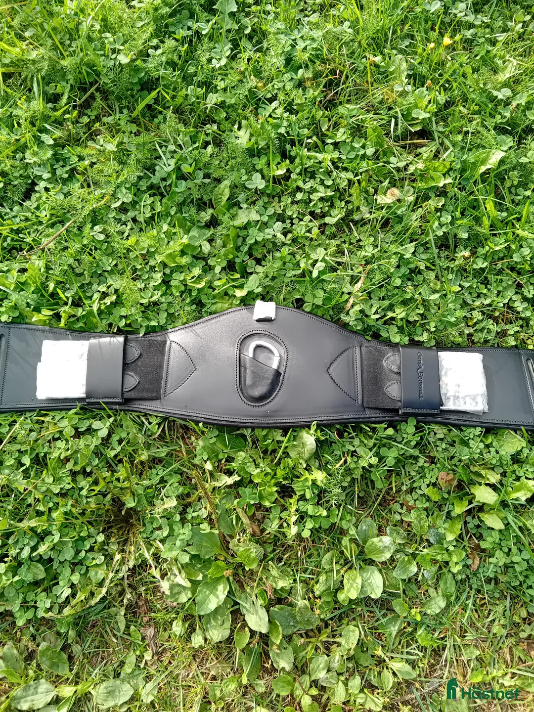 Sadeltillbehör hästutrustning till salu: Ny ORDO EQUESTER  - Annons 3