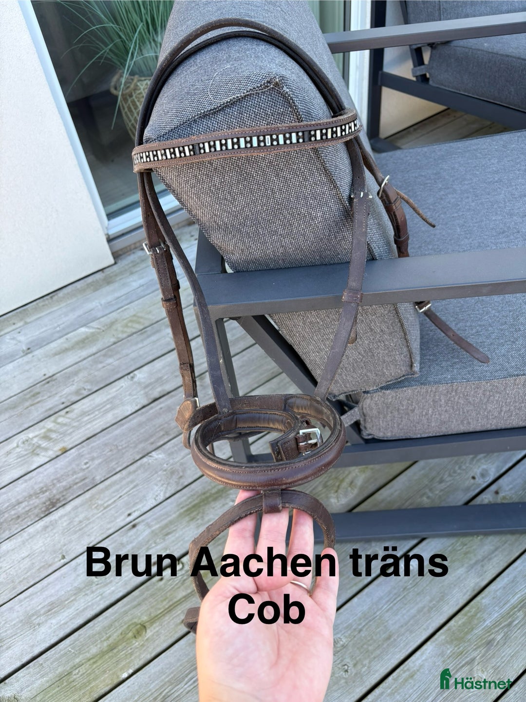 Övrig Hästutrustning hästutrustning till salu: Häst och ponny saker - Annons 14