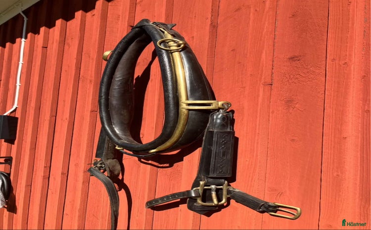 Övrig Hästutrustning hästutrustning till salu i Forserum - Annons 9