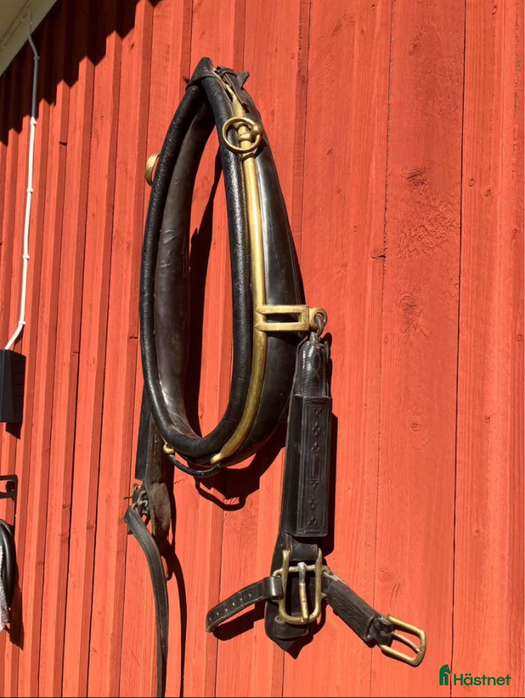 Övrig Hästutrustning hästutrustning till salu: Ovanlig sele och träns i Forserum - Annons 1