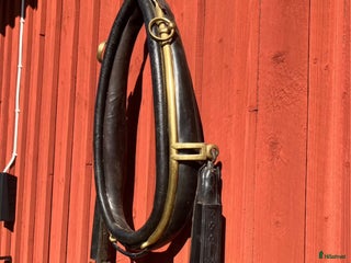 Övrig Hästutrustning hästutrustning till salu: Ovanlig sele och träns i Forserum - Annons 18