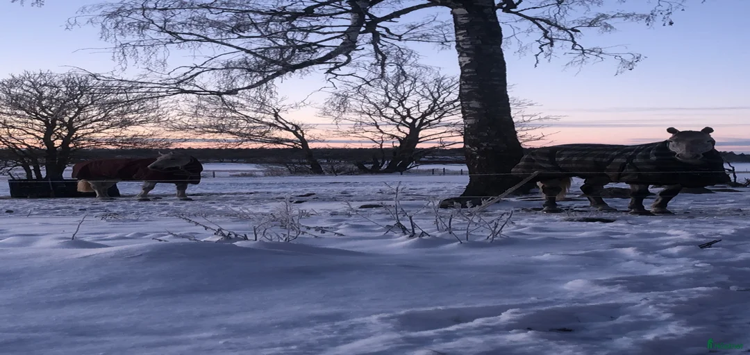 Galleribild {{count}}