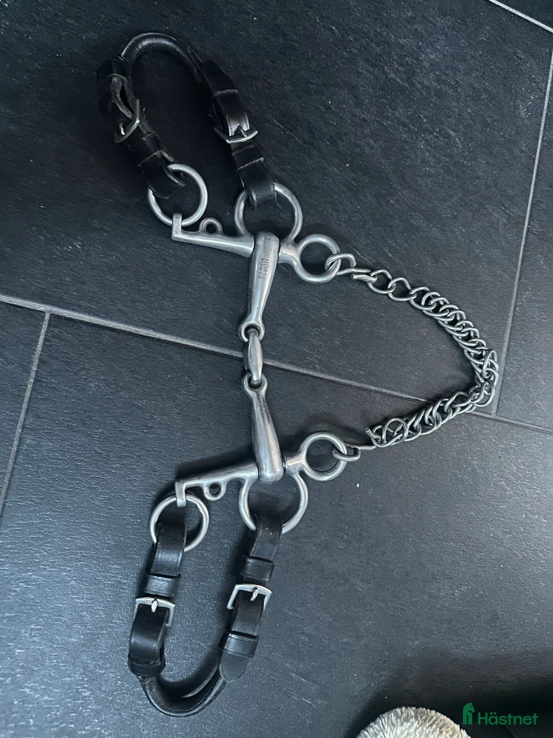 Bett hästutrustning till salu: Babypelham - Annons 2