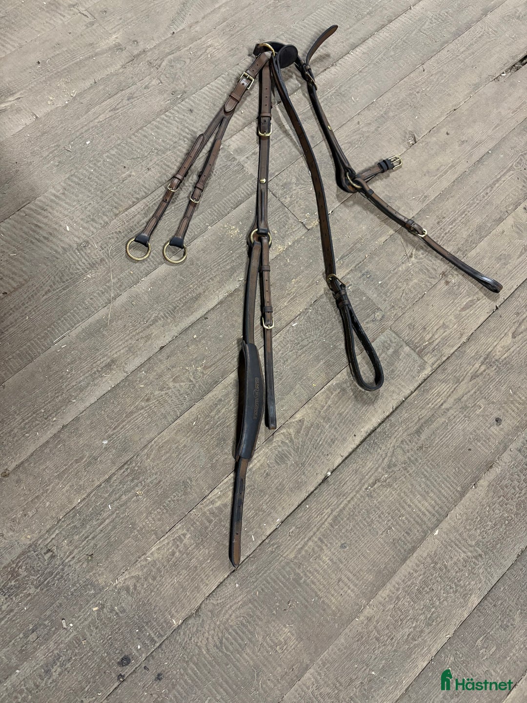 Träns hästutrustning till salu: Begagnad Bruno Delgrange förbygel med martingal i Karlstad - Annons 2
