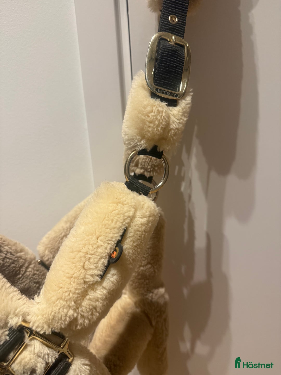 Övrig Hästutrustning hästutrustning till salu: Kentucky grimma i Jönköping - Annons 2