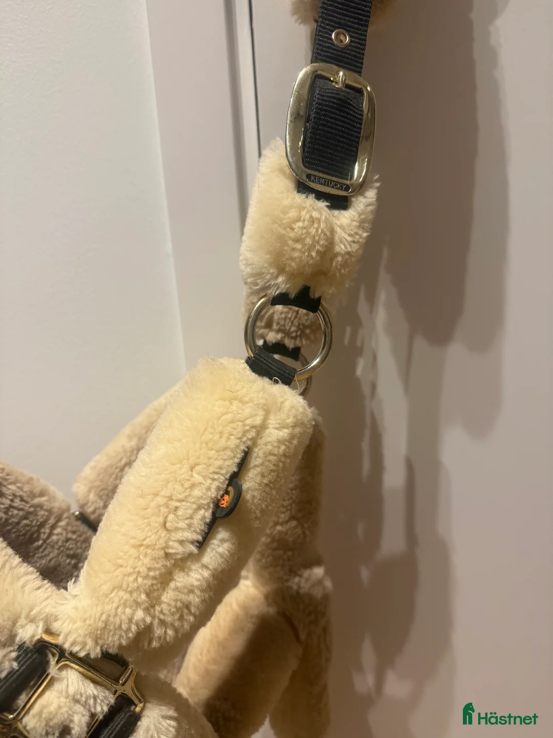 Övrig Hästutrustning hästutrustning till salu: Kentucky grimma i Jönköping - Annons 2