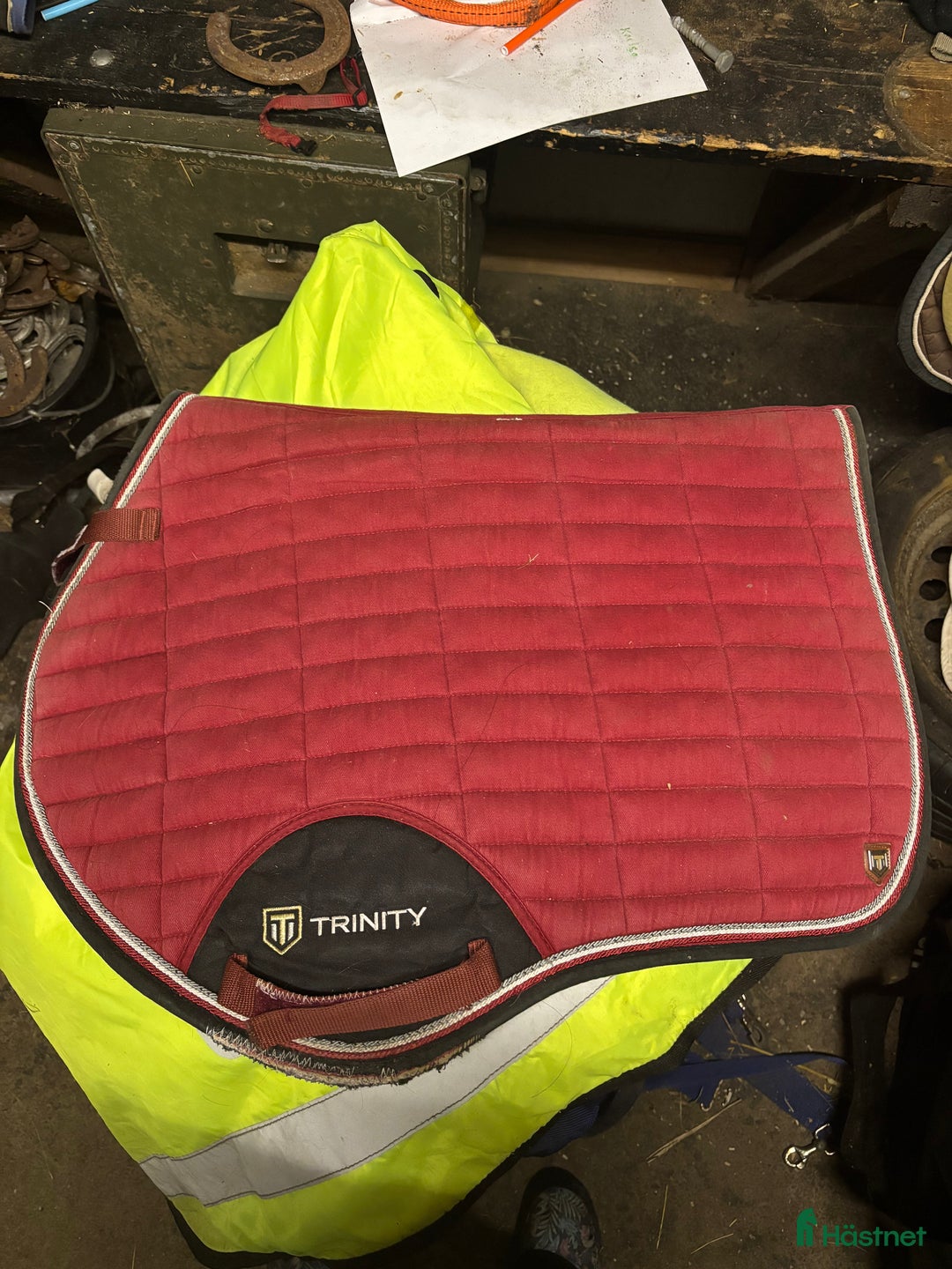 Schabrak & Vojlockar hästutrustning till salu: Schabrak och padd - Annons 4