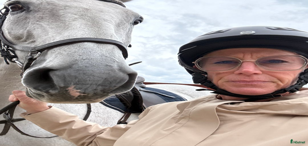 Galleribild {{count}}