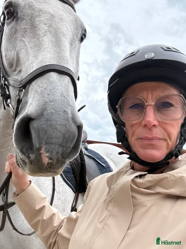 Galleribild {{count}}