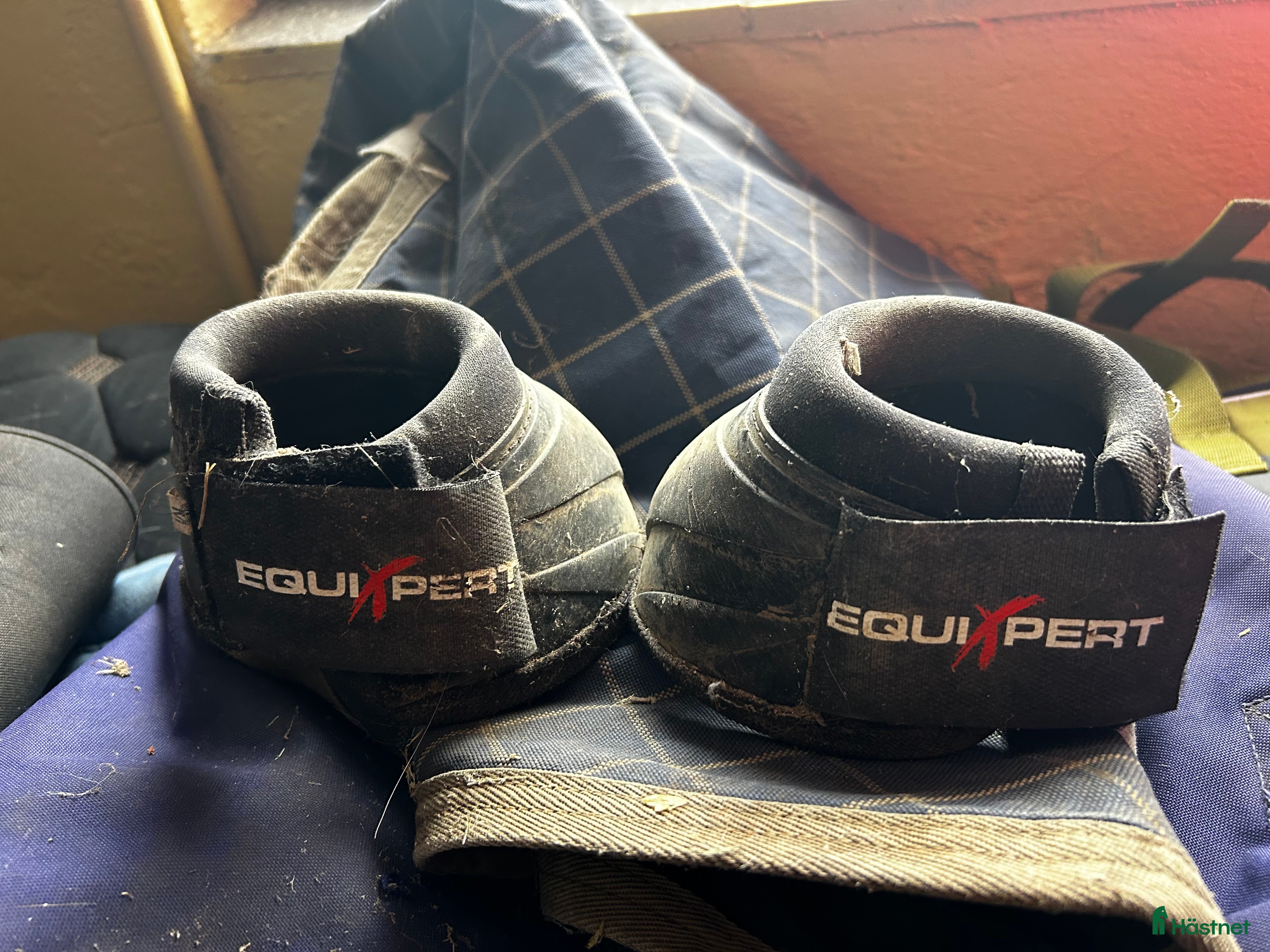 Benskydd hästutrustning Boots - Annons 24