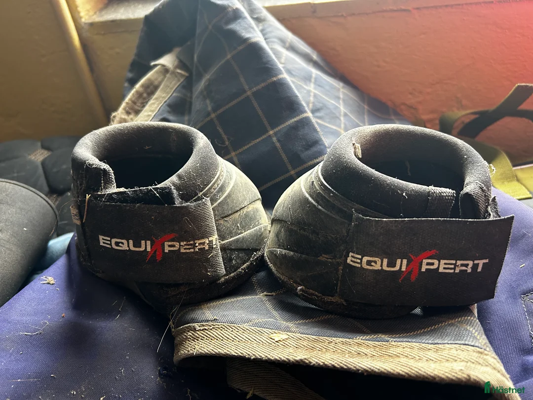 Benskydd hästutrustning till salu: Boots - Annons 1