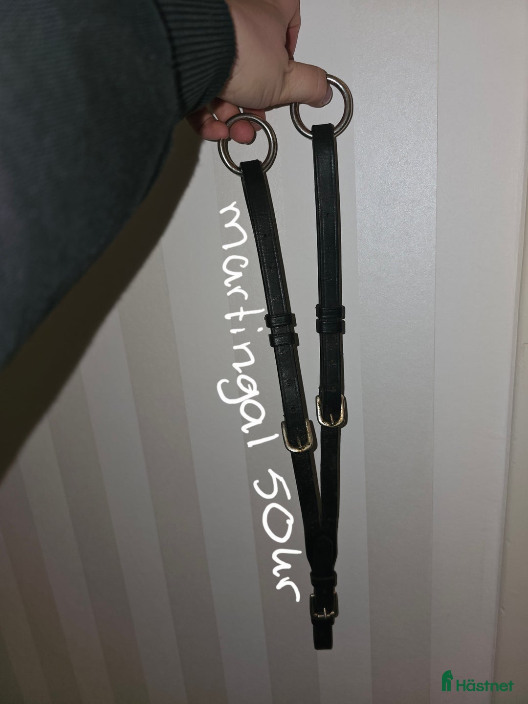 Sadeltillbehör hästutrustning till salu: Martingal i storlek cob i Arvika - Annons 1