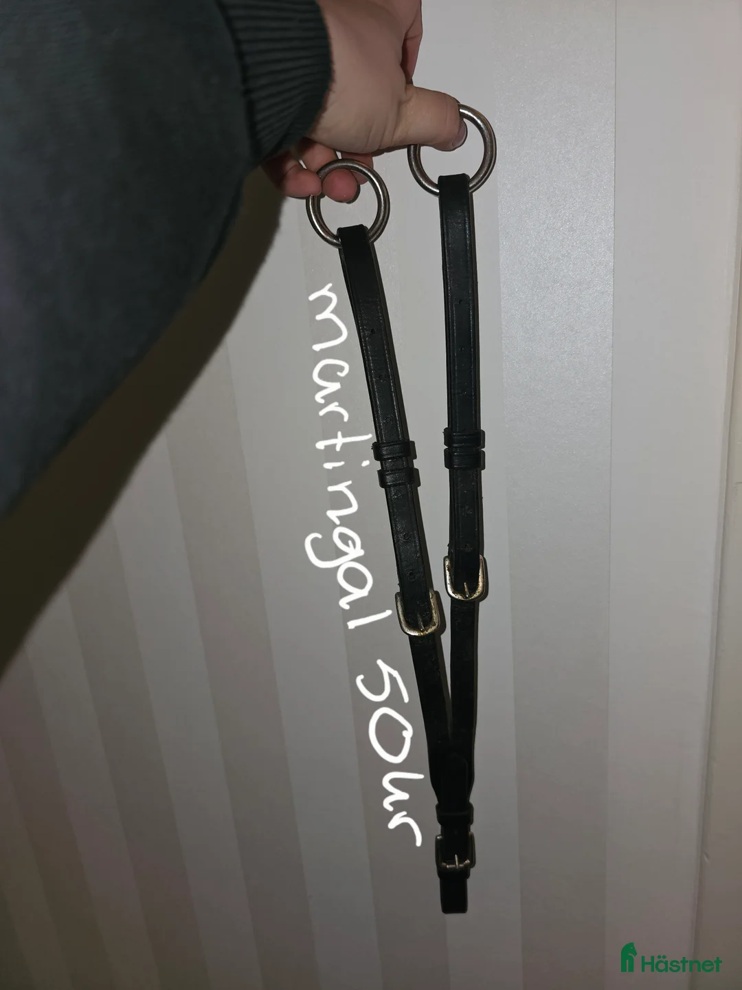 Sadeltillbehör hästutrustning till salu: Martingal i storlek cob i Arvika - Annons 1