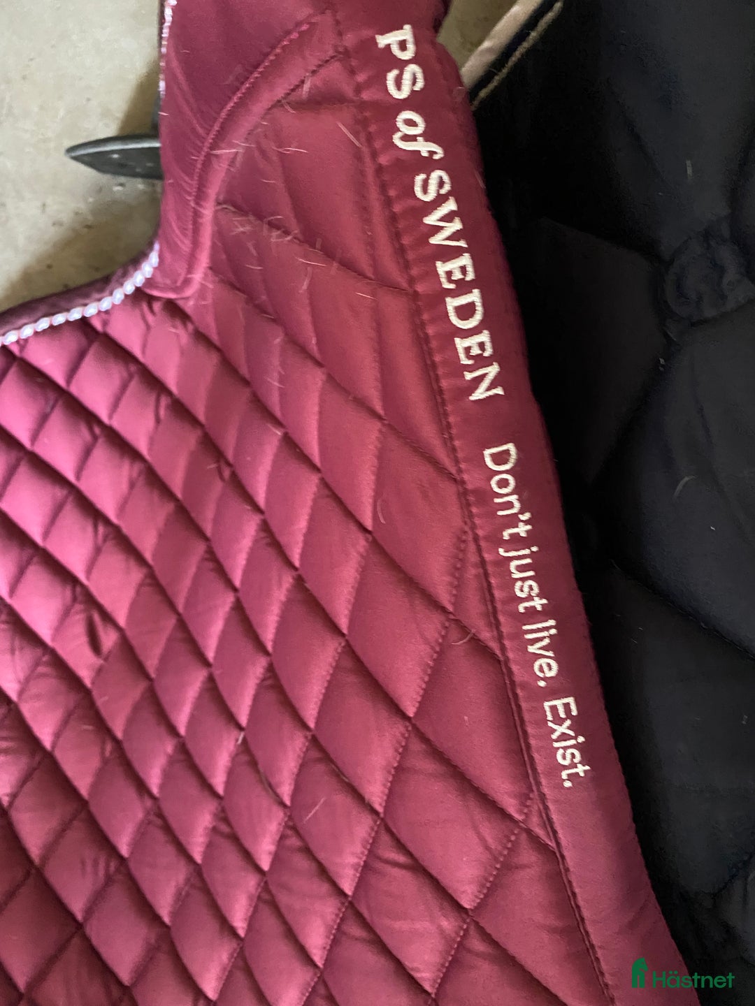 Schabrak & Vojlockar hästutrustning till salu: PS schabrak i Hässleholm - Annons 2