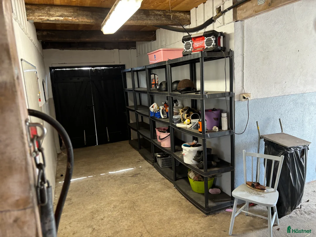  stallplats finnes: Stallplats i lugnt stall i Teckomatorp - Annons 2