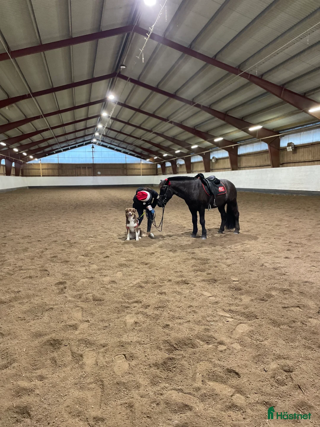 Galleribild {{count}}