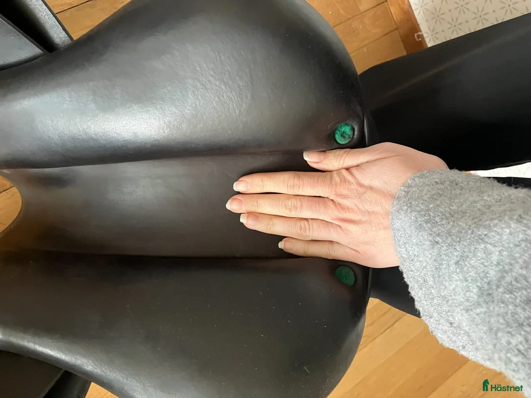 Sadlar hästutrustning till salu: Equipe Expression– mycket fint skick! i Värmdö - Annons 4