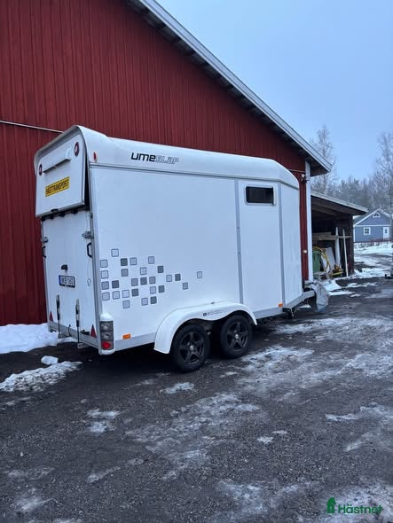 Hästtransporter  fordon & transport till salu: UME SLÄP  i Märsta - Annons 1