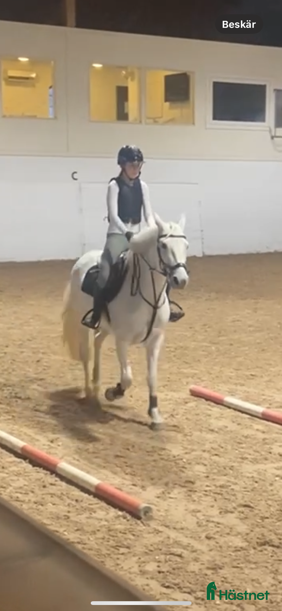 Säkerhetsvästar ryttarutrustning till salu: Racesafe child L i Saltsjö-Boo - Annons 2