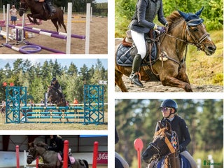 hästar Fantastisk Läromästare i Sävsjö - Annons 13