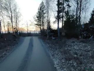 Övrigt hästar sökes: Foderhäst sökes! - Annons 2