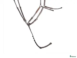 Träns hästutrustning till salu: CWD Förbygel i Nacka - Annons 1