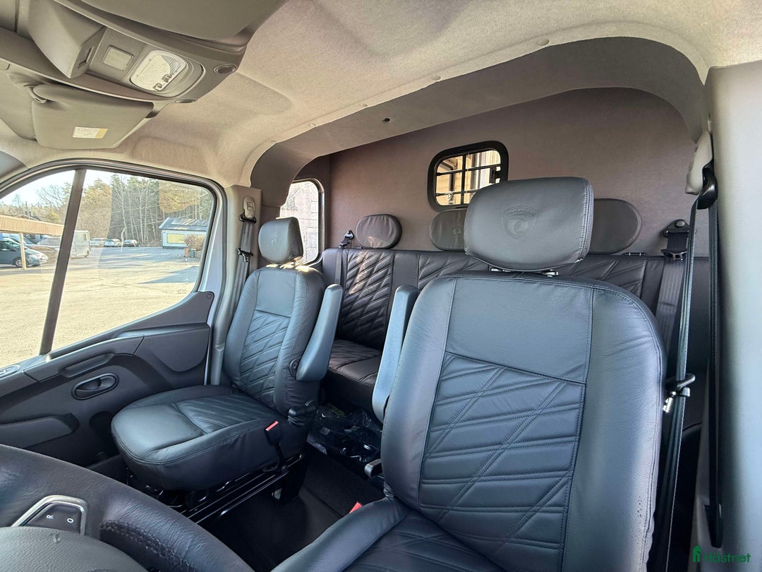 Hästlastbilar  fordon & transport till salu: PARAGAN EXCELSION 5XL – NU TILL KAMPANJPRIS! i Köping - Annons 12