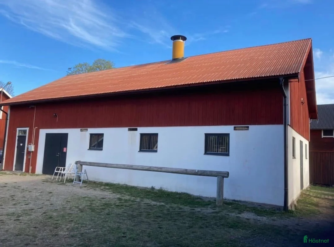  hästservice finnes: Boxplats/lösdrift NorrKivsta Sala - Annons 2