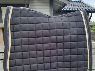 Schabrak & Vojlockar hästutrustning till salu: Lamicell dressyrschabrak i Tvååker - Annons 19