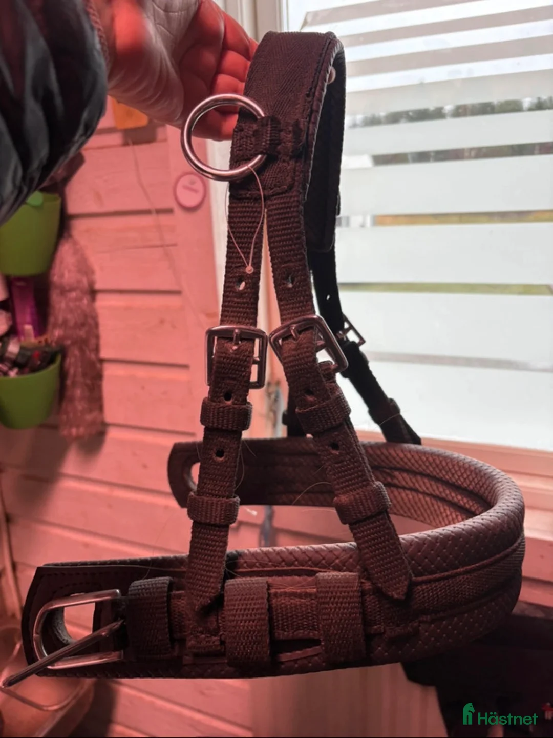 Körselar körning till salu: Bröstsele med draglinor & nytt huvudlag i Söderhamn - Annons 6