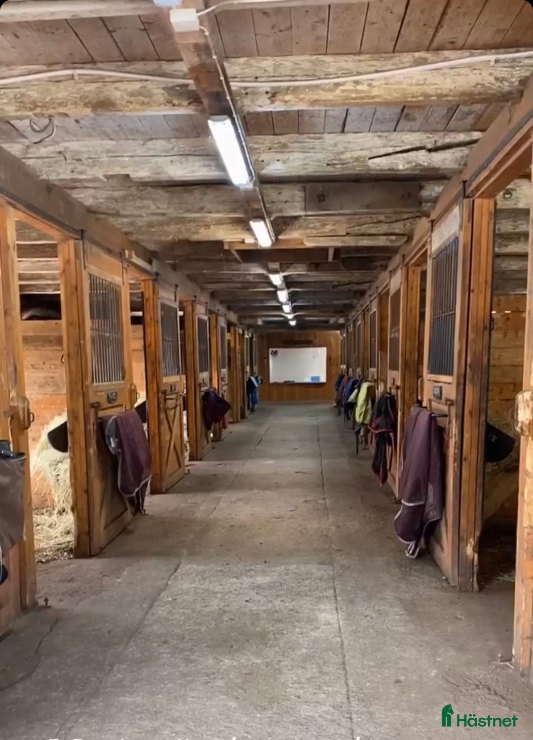  stallplats finnes: Lediga stallplatser mellan Södertälje & Nyköping  i Tystberga - Annons 3