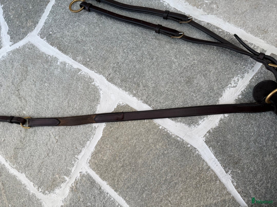 Övrig Hästutrustning hästutrustning till salu: GG brun förbygel med martingal  i Drottningholm - Annons 8