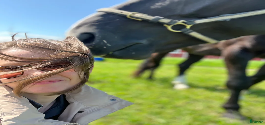 Galleribild {{count}}